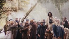 Assistir Matthew 21:1-11 - Entry into Jerusalem  [bzj]