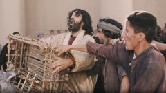 Assistir Matthew 21:12-22 - Clearing the Temple  [bzj]